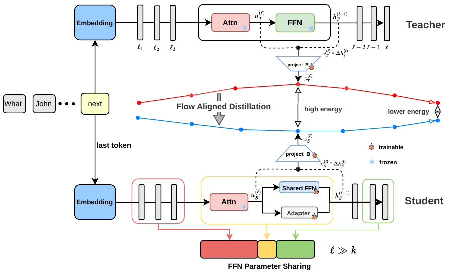 Teacher and shared-FFN student connected through the FAD transport-alignment objective